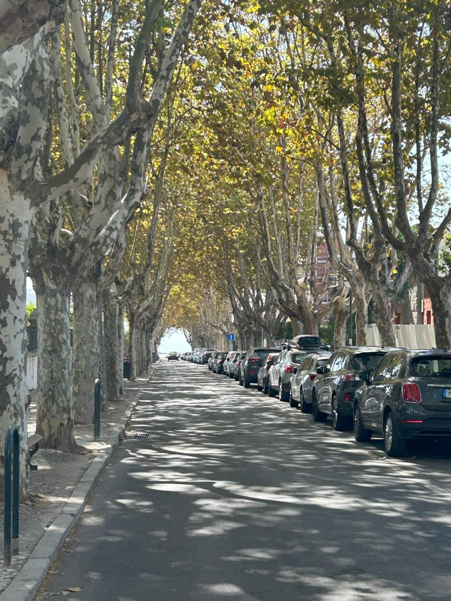 Mar Verde - Parede-Cascais المظهر الخارجي الصورة