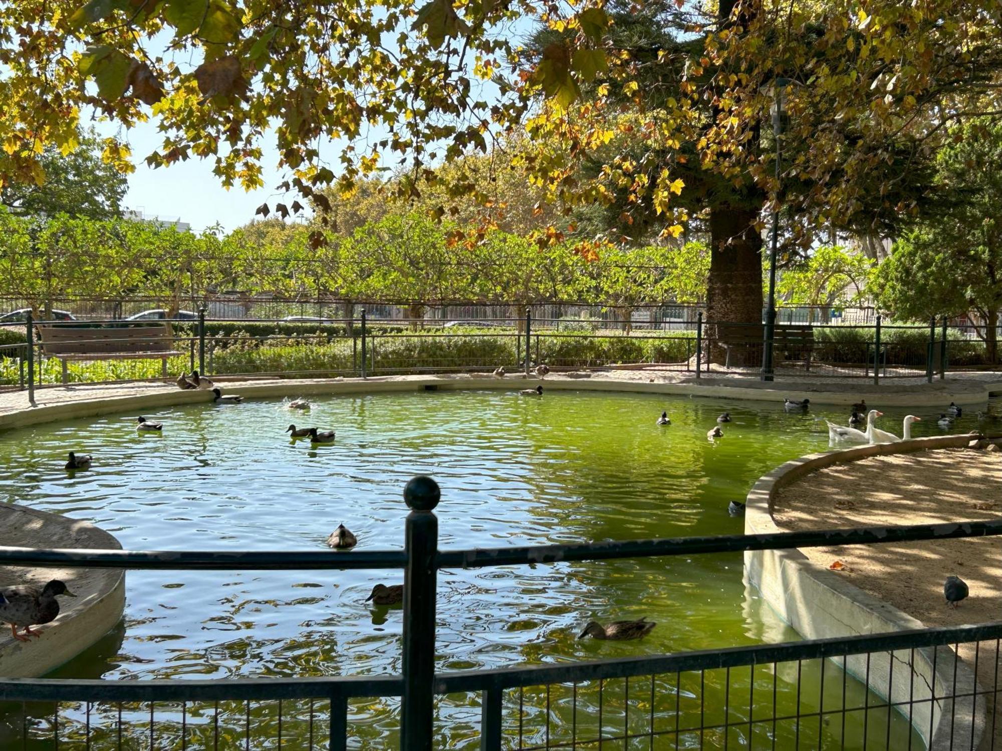 Mar Verde - Parede-Cascais المظهر الخارجي الصورة